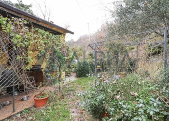 Giardino - Villa via Piana, Sarsina - foto 18