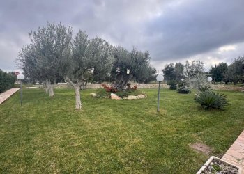 esterno - Villa contrada materdomini, Monopoli - foto 20