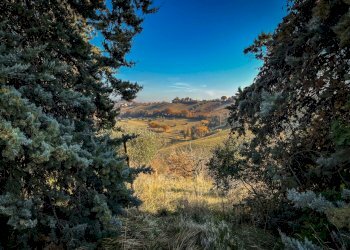 165E4C76-7DB3-4721-BEB7-D2D9D0AE4A50.jpeg - Casale Staffolo - foto 5