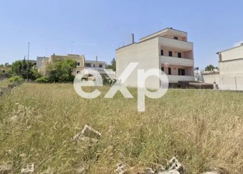 Terreno edificabile Specchia, Specchia - foto 21