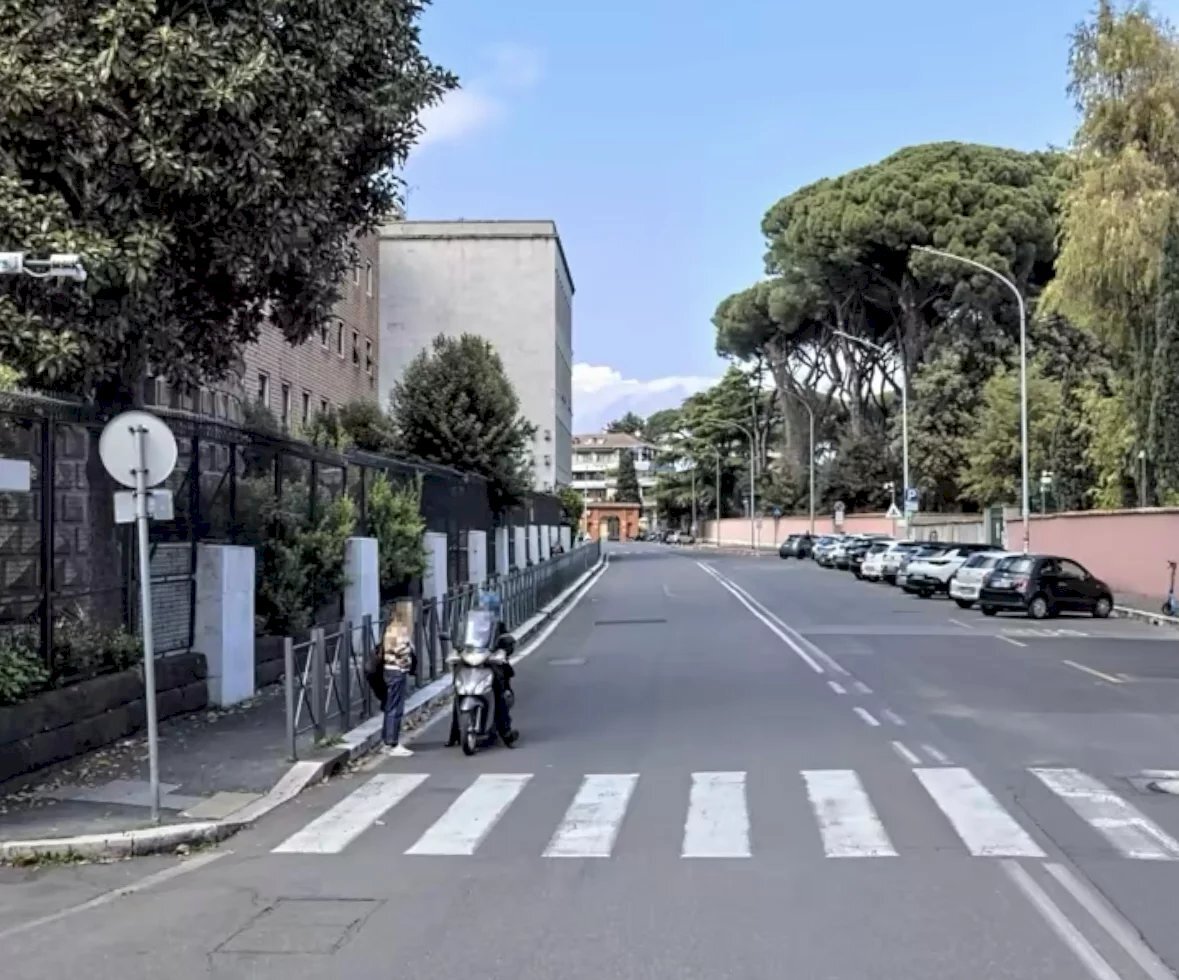 Shop Viale Romania, Roma - photo 3