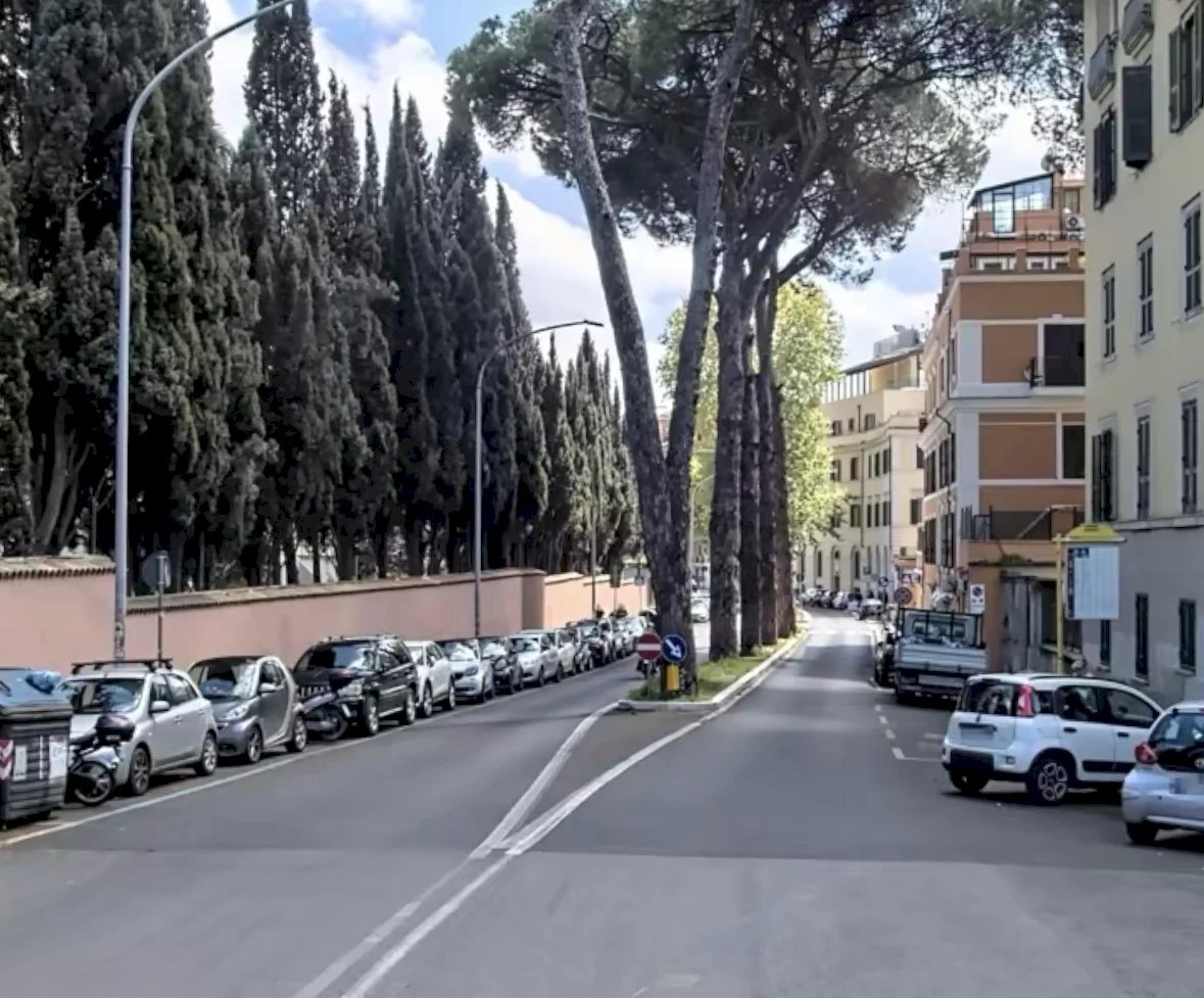 Negozio Viale Romania, Roma - foto 2