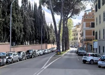 Negozio Viale Romania, Roma - foto 2
