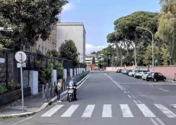 Negozio Viale Romania, Roma - foto 3