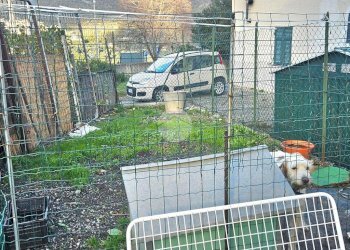 Casa semi indipendente Via Grillarine, Diano Arentino - foto 15