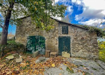 Rustico Castel del Rio - foto 4