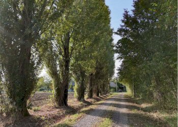 Casa indipendente Modena (zona Circoscrizione 1) - foto 39