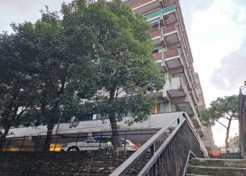 Foto 20 - Apartment Via Ferrara, Genova - photo 20