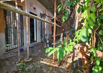 Foto 13 - Apartment Via Doria Pagano, Genova - photo 13