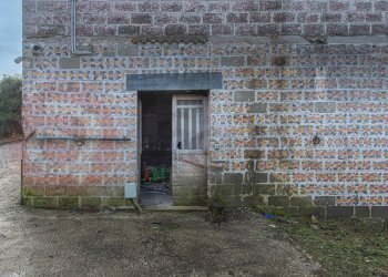 Foto 51 - Casa indipendente Via Ceci, Torrice - foto 51