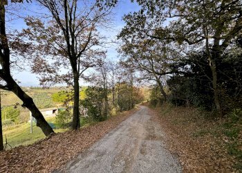 Foto 15 - Rustico Lapedona - foto 15