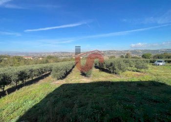 Foto 16 - Baita C.da Cancelleria, Benevento - foto 16