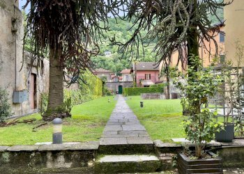 Giardino - Bilocale Cannobio - foto 21