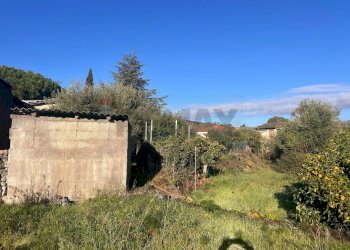 Giardino - Casa indipendente Via Roma
 
199, San Pietro Clarenza - foto 21