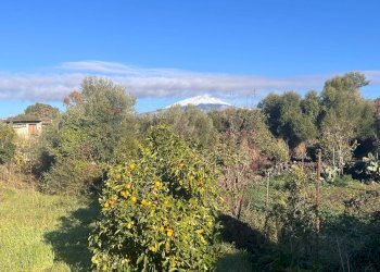 Vista delle montagne - Casa indipendente Via Roma
 
199, San Pietro Clarenza - foto 24