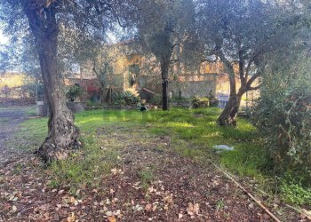 Giardino - Casa indipendente Via Roma
 
199, San Pietro Clarenza - foto 25