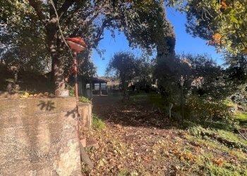 Giardino - Casa indipendente Via Roma
 
199, San Pietro Clarenza - foto 31