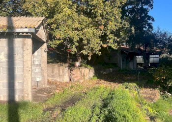 Giardino - Casa indipendente Via Roma
 
199, San Pietro Clarenza - foto 33