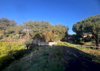 Giardino - Casa indipendente Via Roma
 
199, San Pietro Clarenza - foto 34