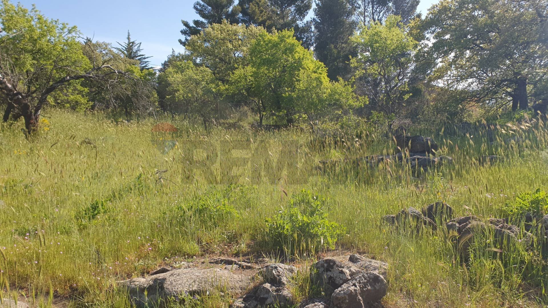 Giardino - Terreno agricolo CONTRADA MONTALTO (ZONA PRATER)
 
snc, Biancavilla - foto 1