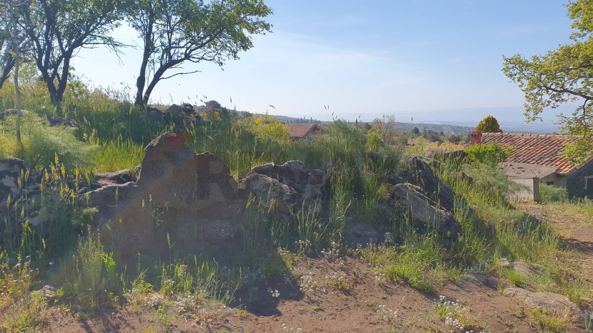 Vista delle montagne - Terreno agricolo CONTRADA MONTALTO (ZONA PRATER)
 
snc, Biancavilla - foto 2