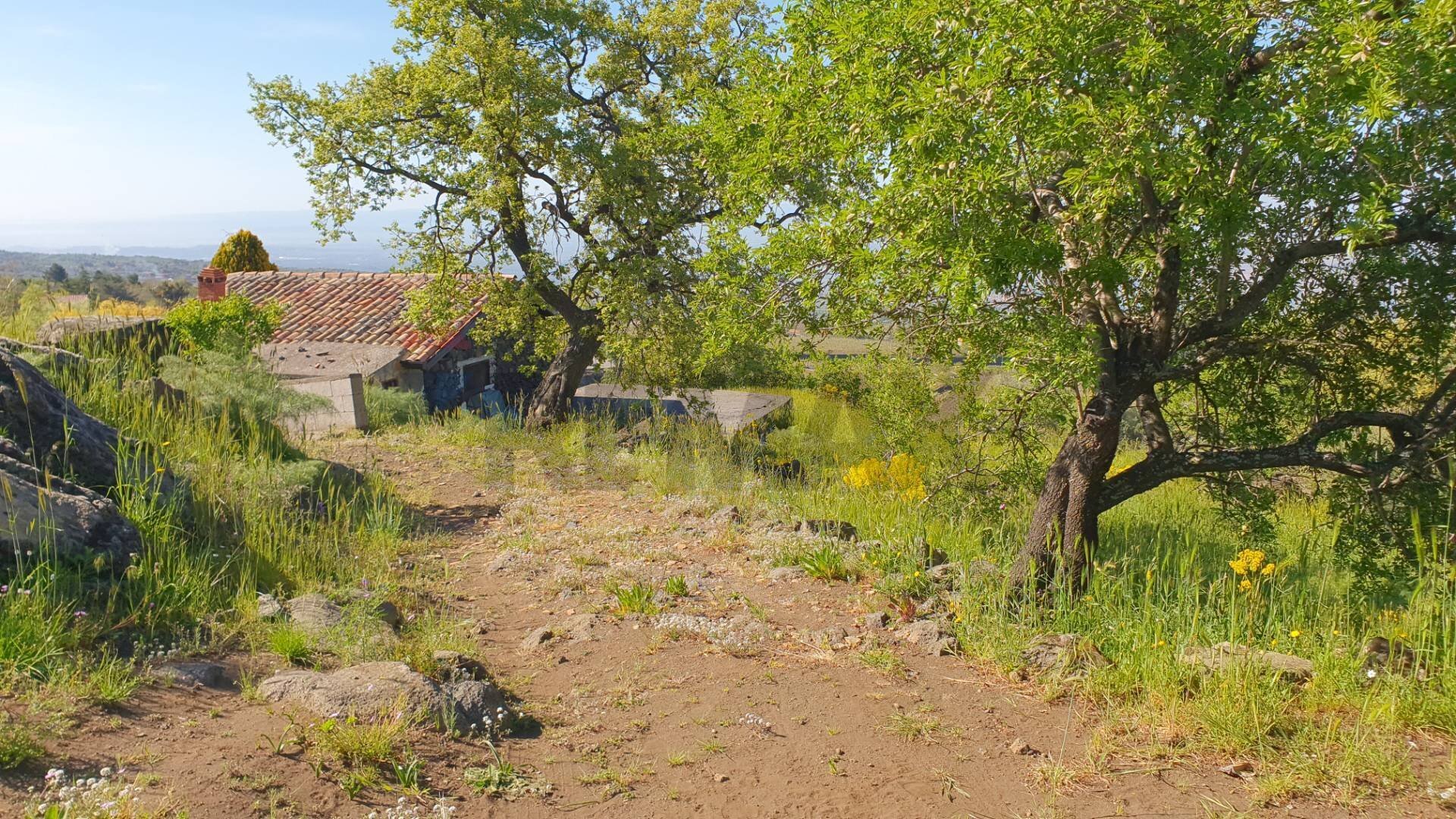 Giardino - Terreno agricolo CONTRADA MONTALTO (ZONA PRATER)
 
snc, Biancavilla - foto 3