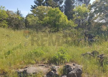 Giardino - Terreno agricolo CONTRADA MONTALTO (ZONA PRATER)
 
snc, Biancavilla - foto 1