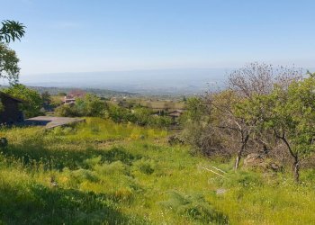 Vista delle montagne - Terreno agricolo CONTRADA MONTALTO (ZONA PRATER)
 
snc, Biancavilla - foto 4