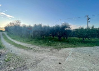 Giardino - Locale Commerciale C/DA COLUCCI
106, San Giorgio Albanese - foto 8