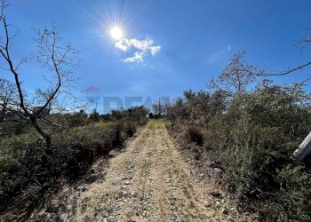 Vista delle montagne - Rustico Contrada Serra di Zotto
 
snc, Santa Sofia D'Epiro - foto 21