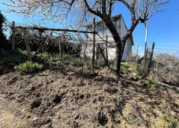 Giardino - Rustico Contrada Serra di Zotto
 
snc, Santa Sofia D'Epiro - foto 38