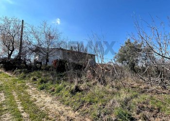 Vista delle montagne - Rustico Contrada Serra di Zotto
 
snc, Santa Sofia D'Epiro - foto 39