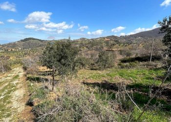 Vista delle montagne - Rustico Contrada Serra di Zotto
 
snc, Santa Sofia D'Epiro - foto 41