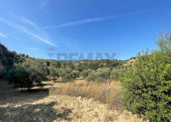 Vista delle montagne - Terreno agricolo Contrada Stoppellaro
SNC, San Demetrio Corone - foto 4
