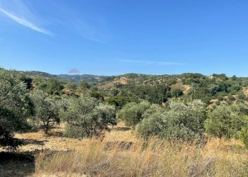 Vista delle montagne - Terreno agricolo Contrada Stoppellaro
SNC, San Demetrio Corone - foto 7