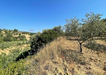 Non correlato - Terreno agricolo Contrada Stoppellaro
SNC, San Demetrio Corone - foto 8