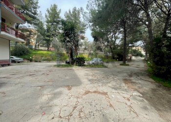 Giardino - Appartamento Via Cannata, Corigliano-Rossano - foto 2