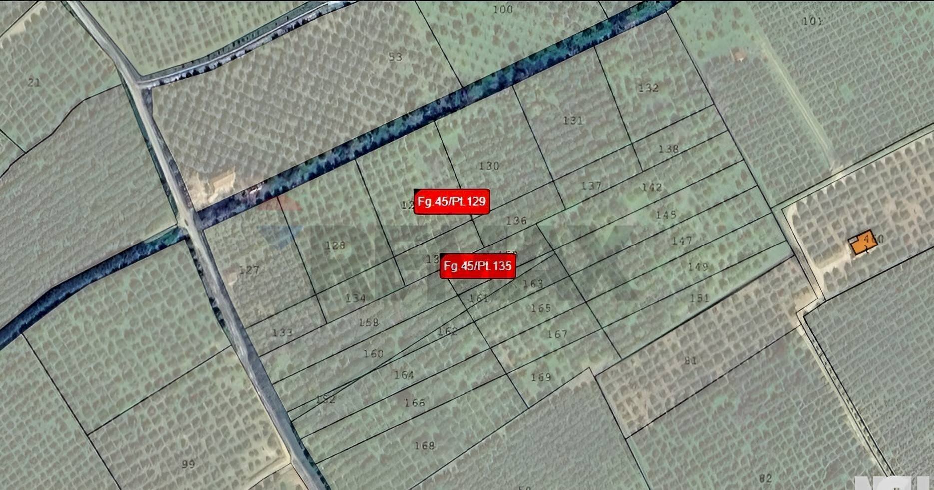 Pianta 2D - Terreno agricolo torre voluta torricella, Corigliano-Rossano - foto 2