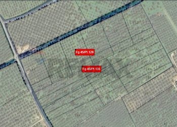 Pianta 2D - Terreno agricolo torre voluta torricella, Corigliano-Rossano - foto 1