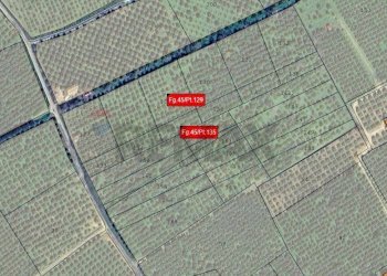 Pianta 2D - Terreno agricolo torre voluta torricella, Corigliano-Rossano - foto 6