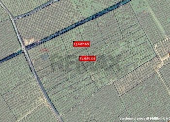 Pianta 2D - Terreno agricolo torre voluta torricella, Corigliano-Rossano - foto 26
