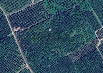 Posizione della mappa - Terreno agricolo torre voluta torricella, Corigliano-Rossano - foto 29