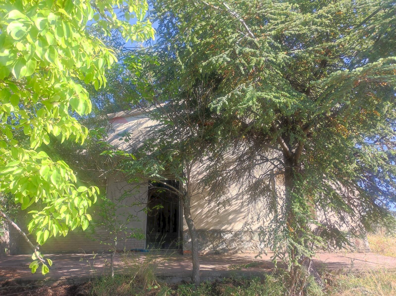 Giardino - Terreno agricolo C/da Costa, Corigliano-Rossano - foto 1