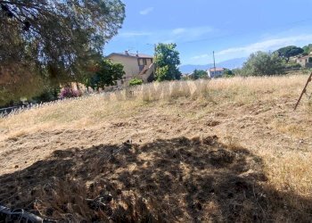 Vista delle montagne - Terreno agricolo C/da Costa, Corigliano-Rossano - foto 4