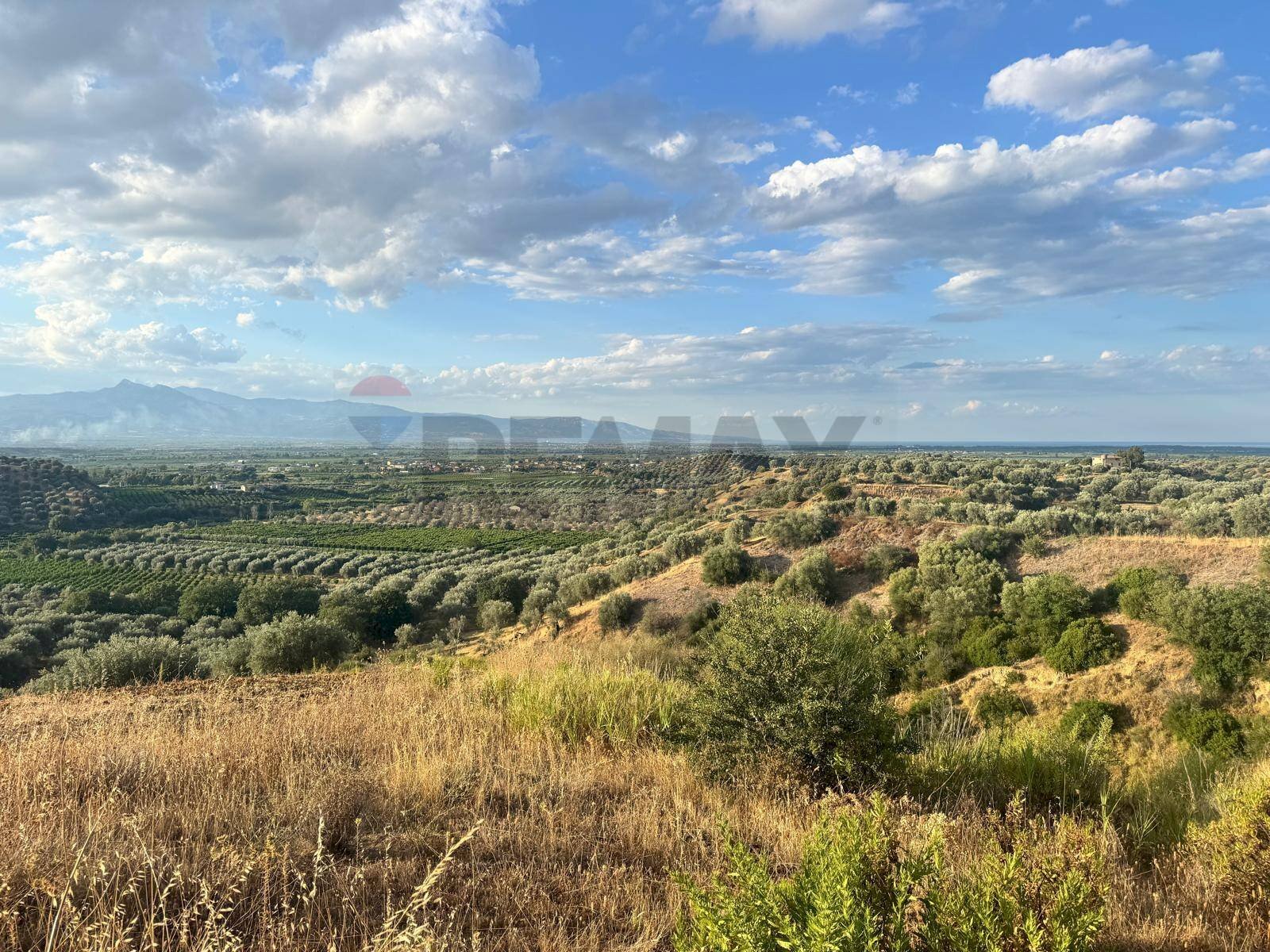 Vista delle montagne - Terreno agricolo C/da Muzzolito, Corigliano-Rossano - foto 3