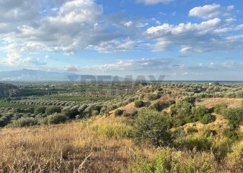 Vista delle montagne - Terreno agricolo C/da Muzzolito, Corigliano-Rossano - foto 3