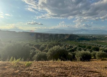 Vista delle montagne - Terreno agricolo C/da Muzzolito, Corigliano-Rossano - foto 4