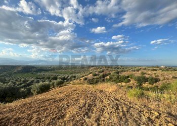 Vista delle montagne - Terreno agricolo C/da Muzzolito, Corigliano-Rossano - foto 7
