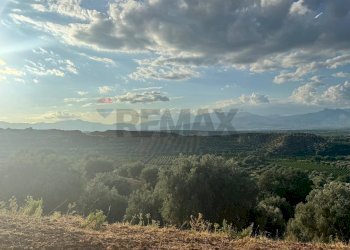 Vista delle montagne - Terreno agricolo C/da Muzzolito, Corigliano-Rossano - foto 9