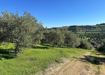 Vista delle montagne - Terreno agricolo CDA IRPIETRO, Corigliano-Rossano - foto 2